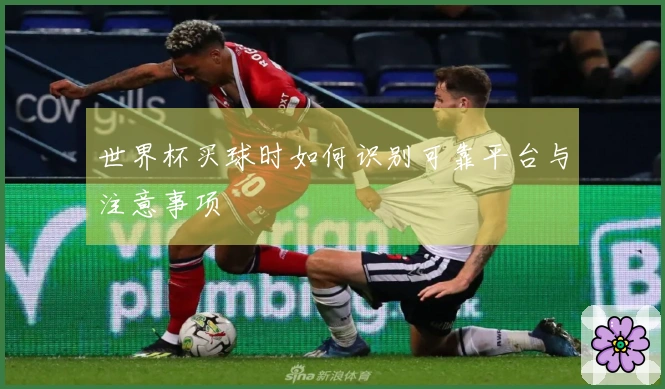 世界杯买球时如何识别可靠平台与注意事项