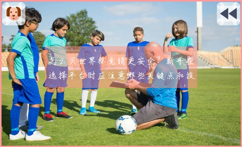 怎么买世界杯竞猜更安全？新手在选择平台时应注意哪些关键点和技巧