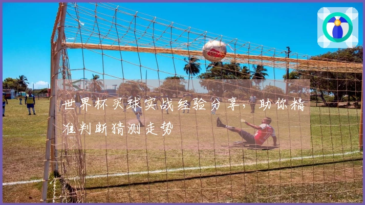 世界杯买球实战经验分享，助你精准判断猜测走势