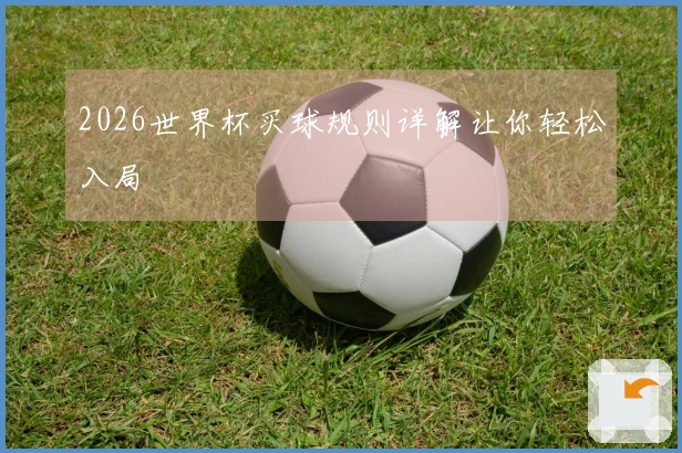 2026世界杯买球规则详解让你轻松入局