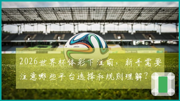 2026世界杯体彩下注前,新手需要注意哪些平台选择和规则理解?