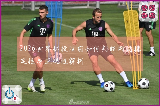2026世界杯投注前如何判断网站稳定性与正规性解析
