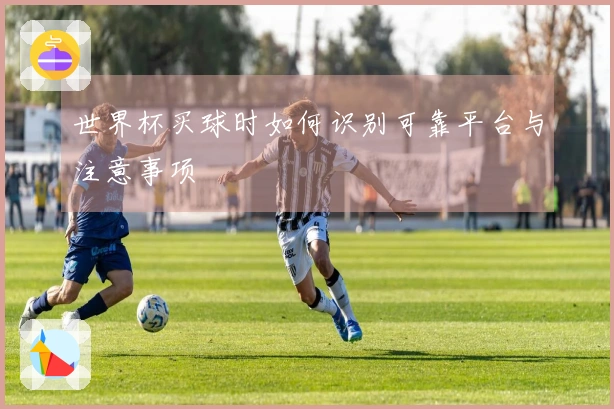 世界杯买球时如何识别可靠平台与注意事项