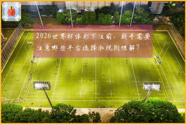 2026世界杯体彩下注前，新手需要注意哪些平台选择和规则理解？