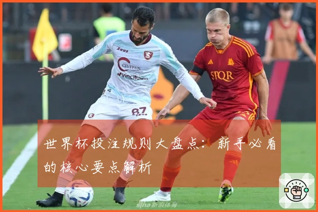 世界杯投注规则大盘点：新手必看的核心要点解析