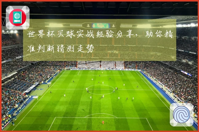 世界杯买球实战经验分享，助你精准判断猜测走势
